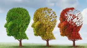 alzheimers-dementia-cure-yale-amyloid-treatment-9